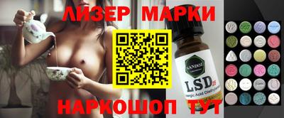 стафф Бийск