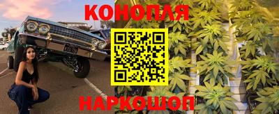 стафф Бийск