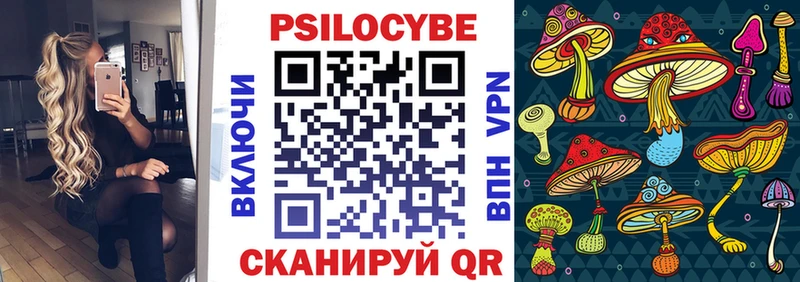 Псилоцибиновые грибы Psilocybe omg ТОР Обнинск цены