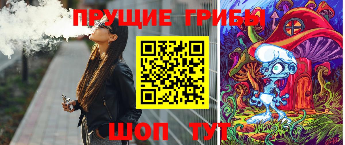 Псилоцибиновые грибы Psilocybine cubensis Обнинск