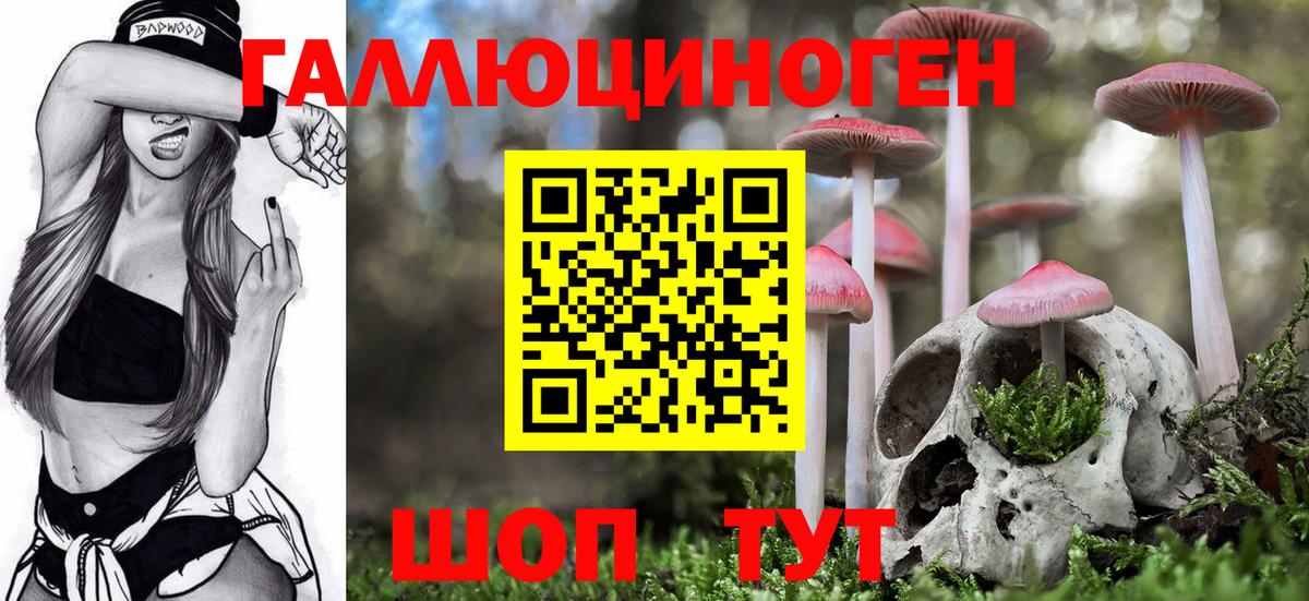Псилоцибиновые грибы Cubensis Обнинск