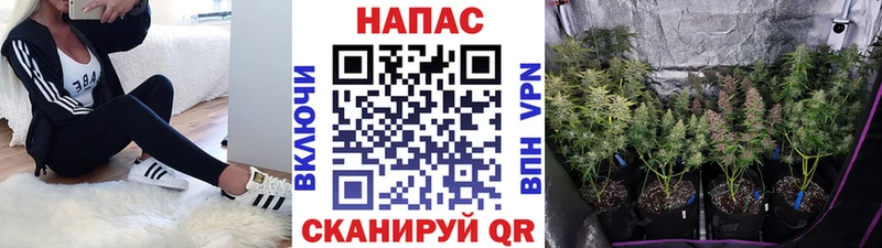 Конопля планчик  shop как зайти  Обнинск  как найти наркотики 